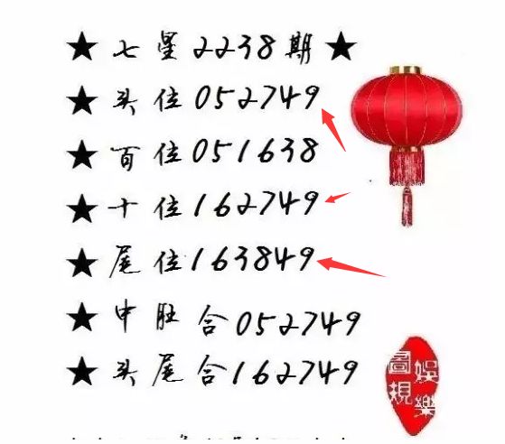 王中王一肖尾數(shù)資料，深度解析與探索，王中王一肖尾數(shù)資料深度解析與探索之旅