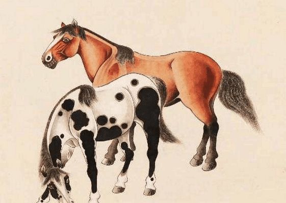 馬一王中王特平一肖圖，深度解析與SEO優(yōu)化策略，深度解析馬一王中王特平肖圖，SEO優(yōu)化策略探討
