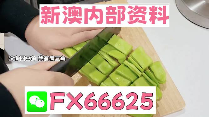 新澳精選資料免費提供，探索優(yōu)質(zhì)資源的海洋，新澳精選資料免費探索，優(yōu)質(zhì)資源海洋的開啟