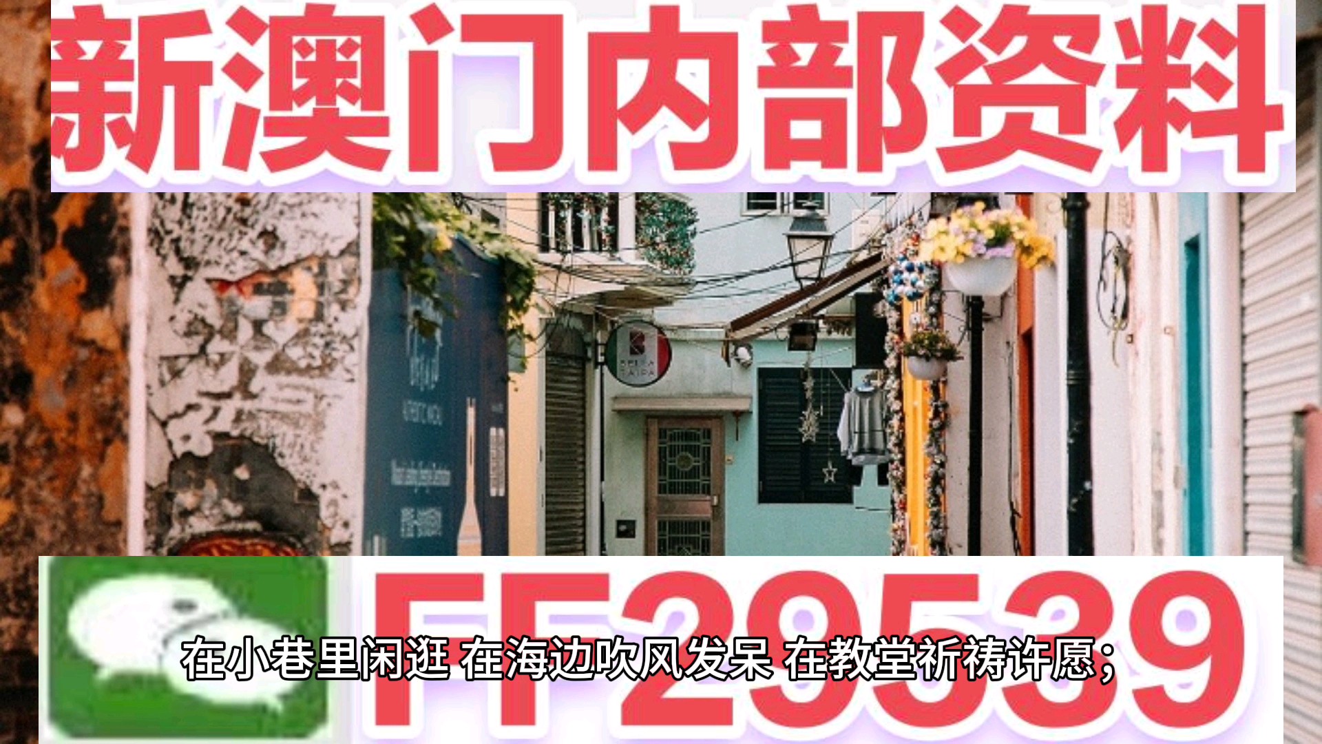 澳門資料大全——正版資料的深度探索，澳門正版資料大全，深度探索澳門資料寶庫
