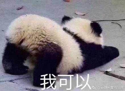 澳門四不像正版四不像網(wǎng)，探索真實與虛幻的交融之地，澳門四不像正版探索，真實與虛幻的交融世界