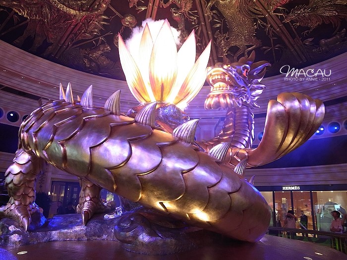 澳門無錯(cuò)七尾，探索與解析，澳門無錯(cuò)七尾，深度探索與解析