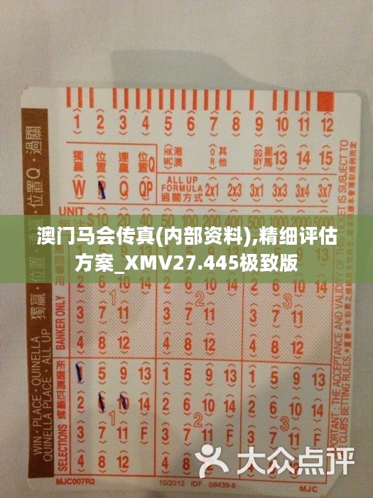 馬會傳真正版，探索正版馬會文化的魅力與價值，正版馬會文化的魅力與價值探索