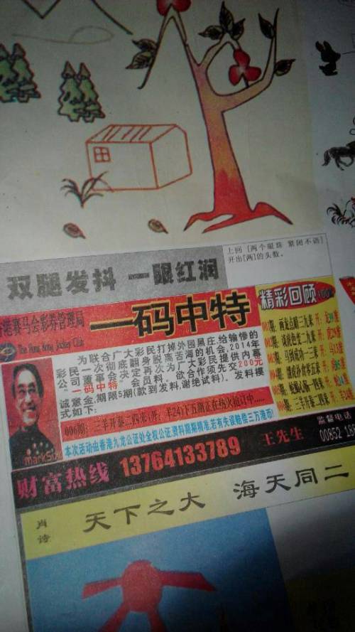 王中王贏錢詩猜一肖，揭秘背后的奧秘與策略，揭秘王中王贏錢詩背后的生肖奧秘與策略揭秘