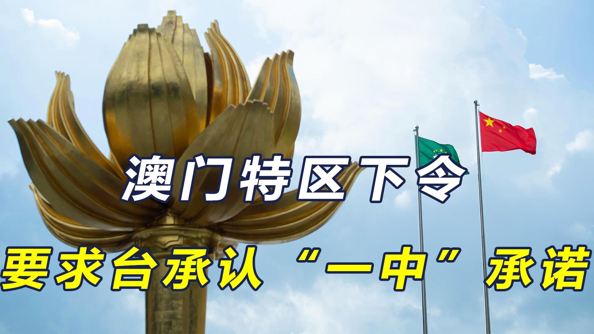 澳門一碼一肖一特一中直播，探索與體驗(yàn)獨(dú)特的娛樂(lè)盛宴，澳門一碼一肖直播，獨(dú)特娛樂(lè)盛宴的探索與體驗(yàn)
