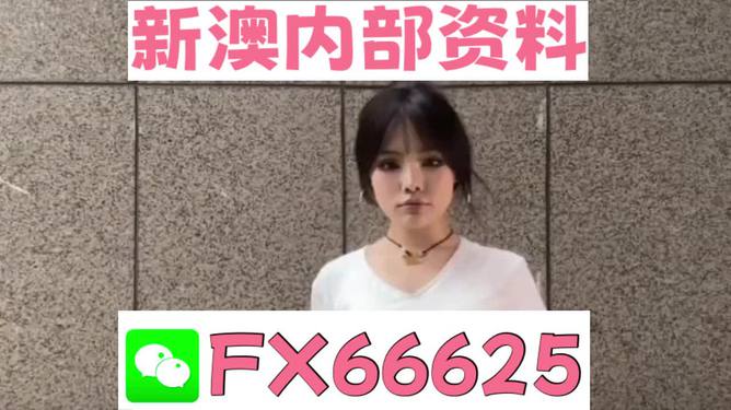 澳門正版資料大全完整版，探索與揭秘2025年澳門正版資料的世界，澳門正版資料大全揭秘，探索未來至2025年的奧秘世界