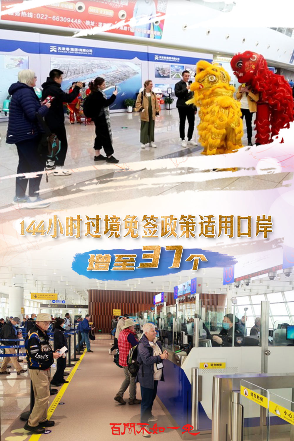 揭秘王中王，一碼一肖一特一中背后的故事，揭秘王中王背后的故事，一碼一肖一特一中傳奇揭秘