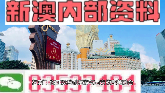 新澳新澳門正版資料，探索與解析，新澳新澳門正版資料深度解析與探索