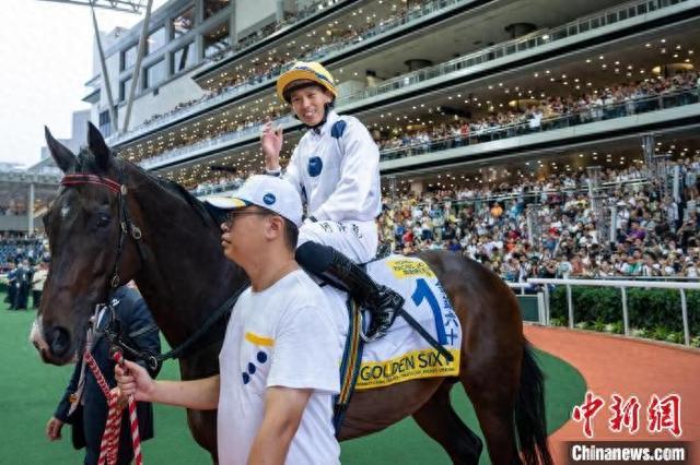 香港特馬王資料免費(fèi)公開(kāi)，揭秘背后的秘密，香港特馬王資料揭秘，免費(fèi)公開(kāi)背后的秘密