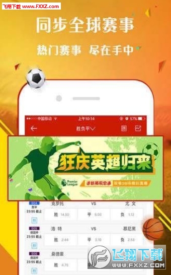 王中王一肖，探尋背后的故事與影響力（2019年），王中王一肖，背后的故事與影響力揭秘（2019年）