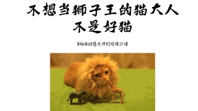 王中王013期指一生肖——探尋背后的秘密與奧秘，王中王013期生肖揭秘，探尋背后的秘密與奧秘之旅