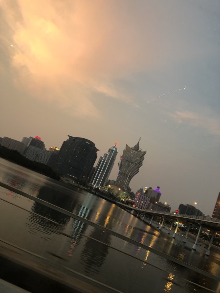 澳門今晚必開一肖一特，深度解析與預(yù)測，澳門今晚生肖特碼深度解析與預(yù)測，一肖一特必開趨勢探討