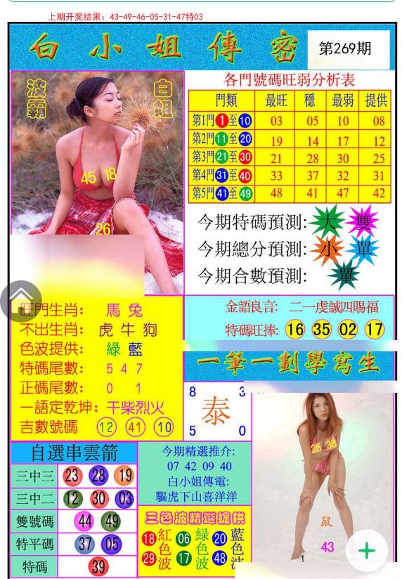 揭秘白小姐與王中王平持一肖的神秘面紗，白小姐與王中王，揭秘神秘生肖預(yù)測(cè)面紗