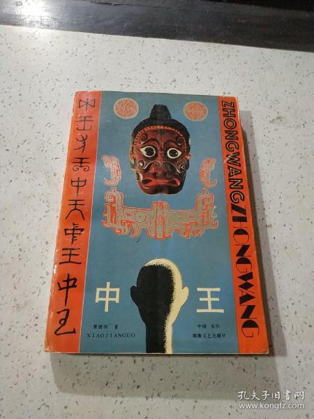 王中王資料與肖中特，深度解析，王中王資料與肖中特深度剖析
