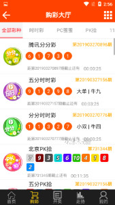 探索域名www王中王平特一肖c.m背后的故事，揭秘域名www王中王平特一肖c.m背后的故事