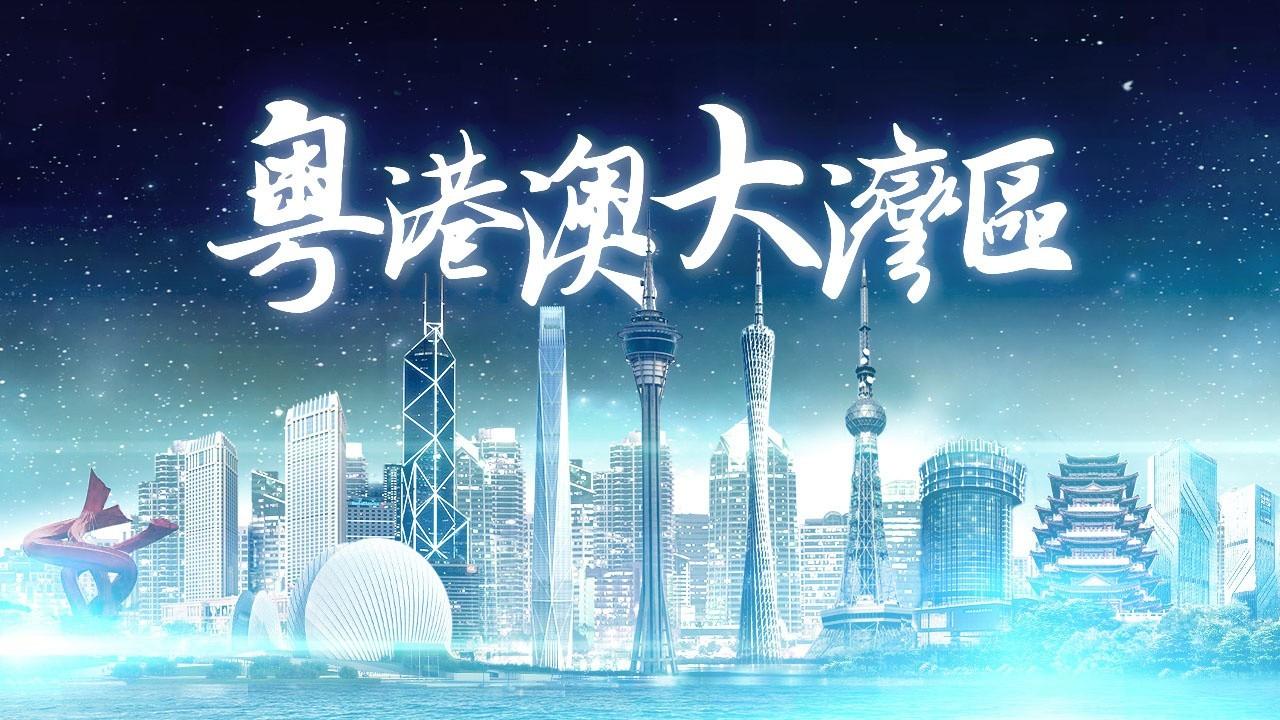 2025年香港正版免費(fèi)資料全面解析，香港正版免費(fèi)資料全面解析（2025版）