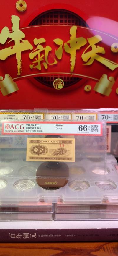 王中王廣東一肖，探尋背后的故事與奧秘，王中王廣東一肖，背后的故事與奧秘探尋