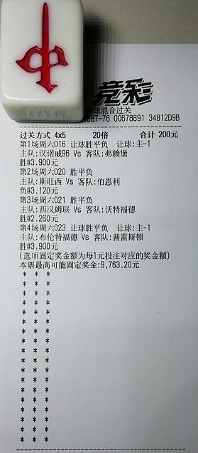 揭秘買一肖中獎的賠率與風險，你真的準備好了嗎？，揭秘買一肖中獎背后的賠率與風險，你真的做好準備了嗎？