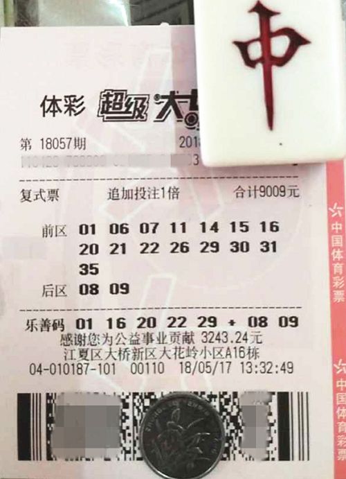 澳門六開彩天天開獎結果查詢，輕松掌握最新動態(tài)，澳門六開彩最新開獎結果查詢，輕松掌握每日動態(tài)