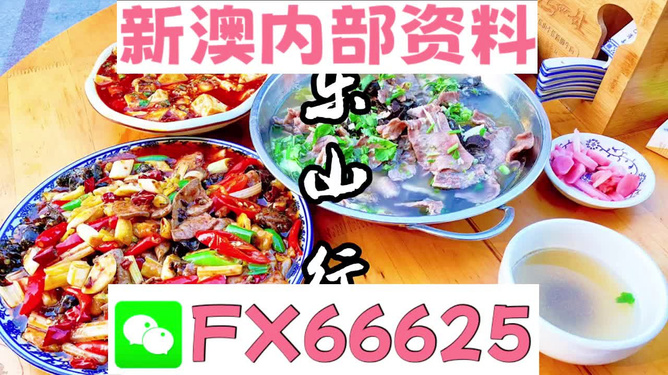 新澳全年免費資料大全——探索與學習的不竭源泉，新澳全年免費資料大全，無盡的學習資源寶庫