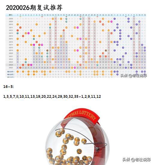 王中王026期指一生肖，深度解讀與SEO優(yōu)化策略，王中王026期生肖深度解讀與SEO優(yōu)化策略全解析