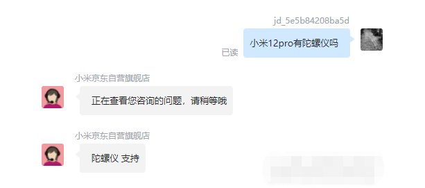 王中王一肖碼，探索關(guān)鍵詞背后的奧秘，王中王一肖碼，揭秘關(guān)鍵詞背后的奧秘