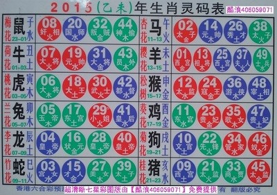 揭秘2025十二生肖與數(shù)字彩票的神奇聯(lián)系——49碼表全解析，揭秘十二生肖與數(shù)字彩票的神秘聯(lián)系，2025年49碼表深度解析