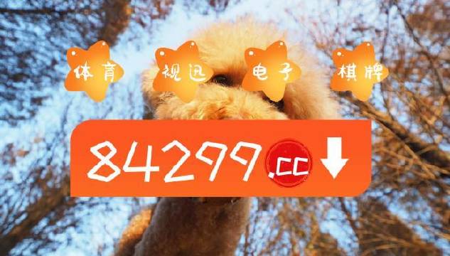 今期必中一肖一碼白小姐，揭秘彩票背后的秘密與策略，揭秘彩票背后的秘密與策略，白小姐今期必中一肖一碼解析