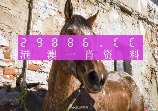 王中王資料一門肖中，深度解析與探索，王中王資料一門肖詳解，深度解析與探索
