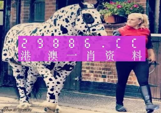 澳門王中王，一肖一特一中深度解析（180期精彩回顧），澳門王中王，深度解析第180期精彩回顧，生肖與特碼揭秘