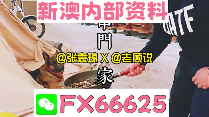 新澳門精準(zhǔn)資料大全管家婆料