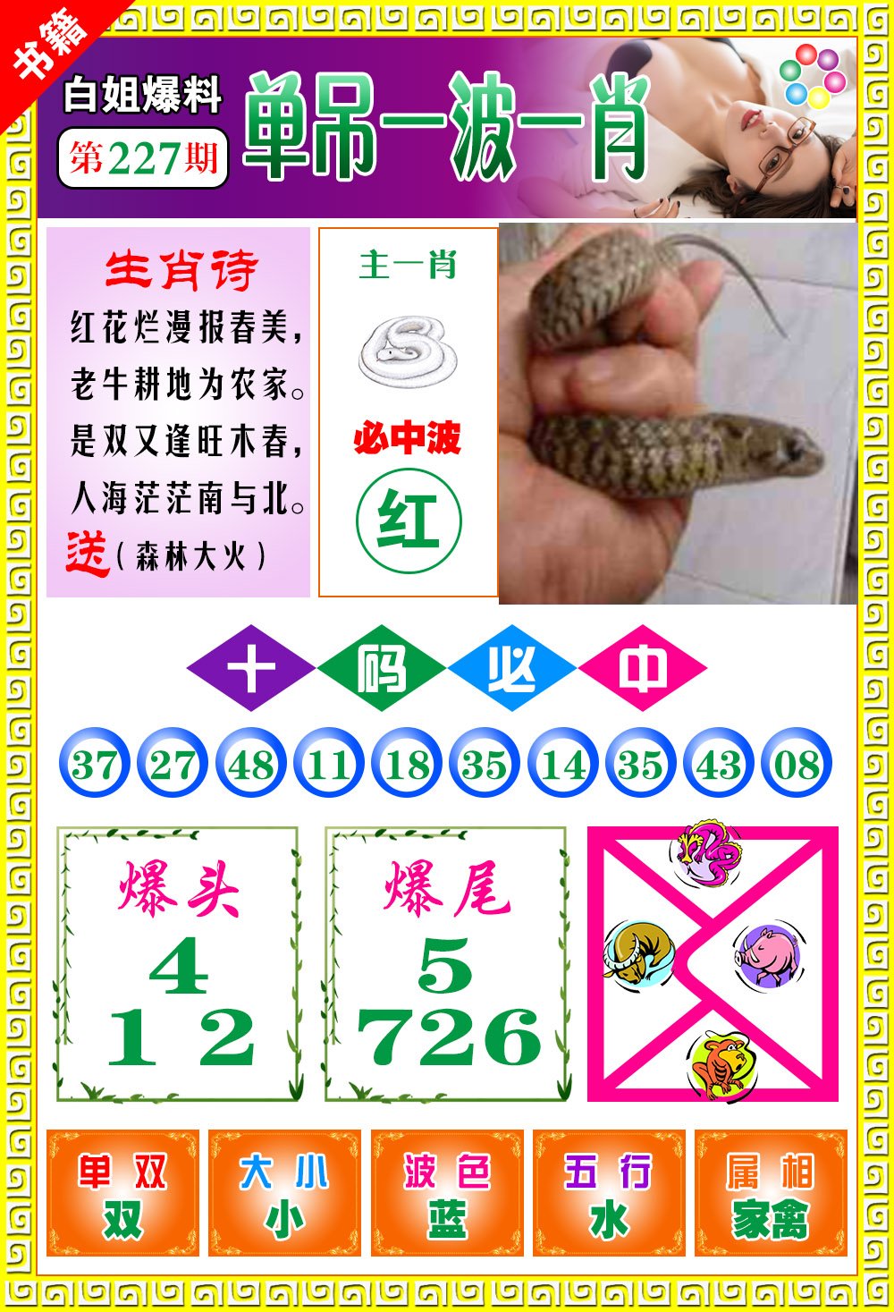 王中王免費一肖開獎，揭秘彩票背后的秘密，揭秘彩票背后的秘密，王中王免費一肖開獎探秘
