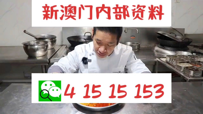管家婆一肖資料大全，深度解析與探索，管家婆一肖資料深度解析與探索大全