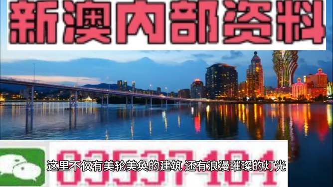 新澳新澳門正版資料，探索與解析，新澳新澳門正版資料深度解析與探索
