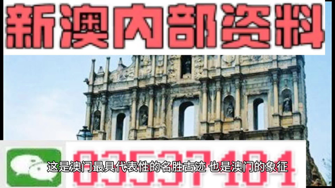 新澳門正版資料，探索與解析，澳門正版資料深度解析與探索
