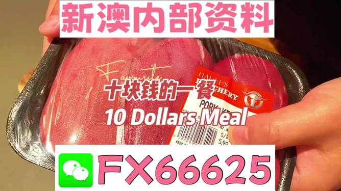揭秘2025新奧精準(zhǔn)正版資料，全方位解讀與SEO優(yōu)化策略，揭秘2025新奧精準(zhǔn)正版資料，全方位解讀與SEO策略優(yōu)化指南