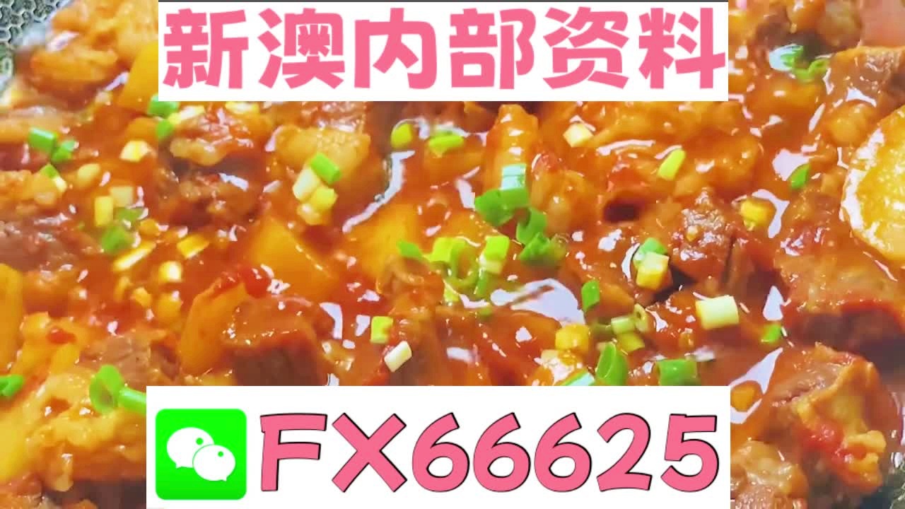 新奧天天免費(fèi)資料大全——探索與優(yōu)化的SEO之旅，新奧天天免費(fèi)資料大全，SEO探索與優(yōu)化之旅