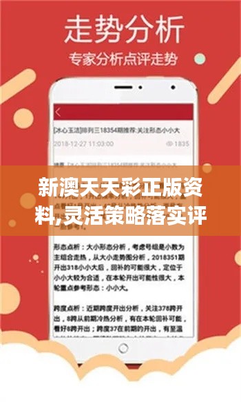 新澳天天開彩期期精準(zhǔn)，揭秘彩票預(yù)測背后的秘密，揭秘彩票預(yù)測真相，新澳天天開彩期期精準(zhǔn)之奧秘