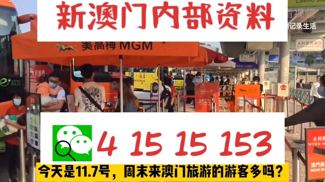 新澳今晚9點(diǎn)30分的精彩瞬間與背后故事，新澳之夜，9點(diǎn)30分的精彩瞬間與幕后故事