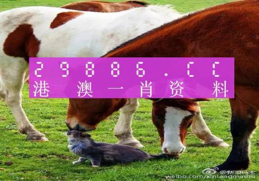 新奧門一肖一碼，揭秘精準(zhǔn)預(yù)測的秘密，揭秘新澳門一肖一碼精準(zhǔn)預(yù)測的秘密