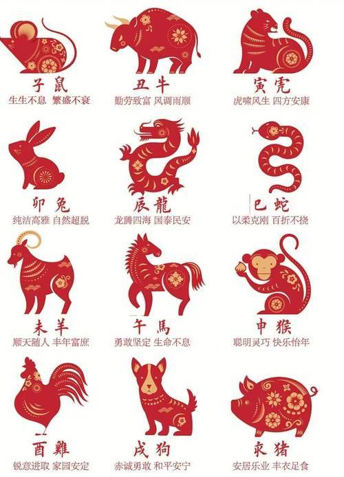 新澳特碼，羊?；⒏鲾?shù)10的獨(dú)特魅力與探索，新澳特碼，羊?；⒏鲾?shù)10的獨(dú)特魅力與奧秘探索