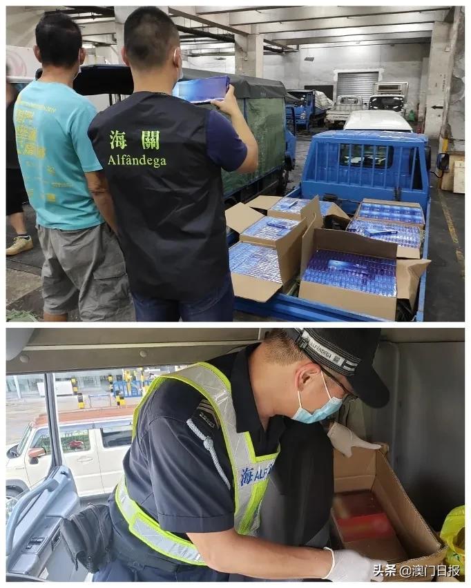 澳門今晚必開一肖080，揭秘生肖運(yùn)勢(shì)與預(yù)測(cè)之謎，澳門今晚必開一肖揭秘，生肖運(yùn)勢(shì)預(yù)測(cè)之謎開啟！