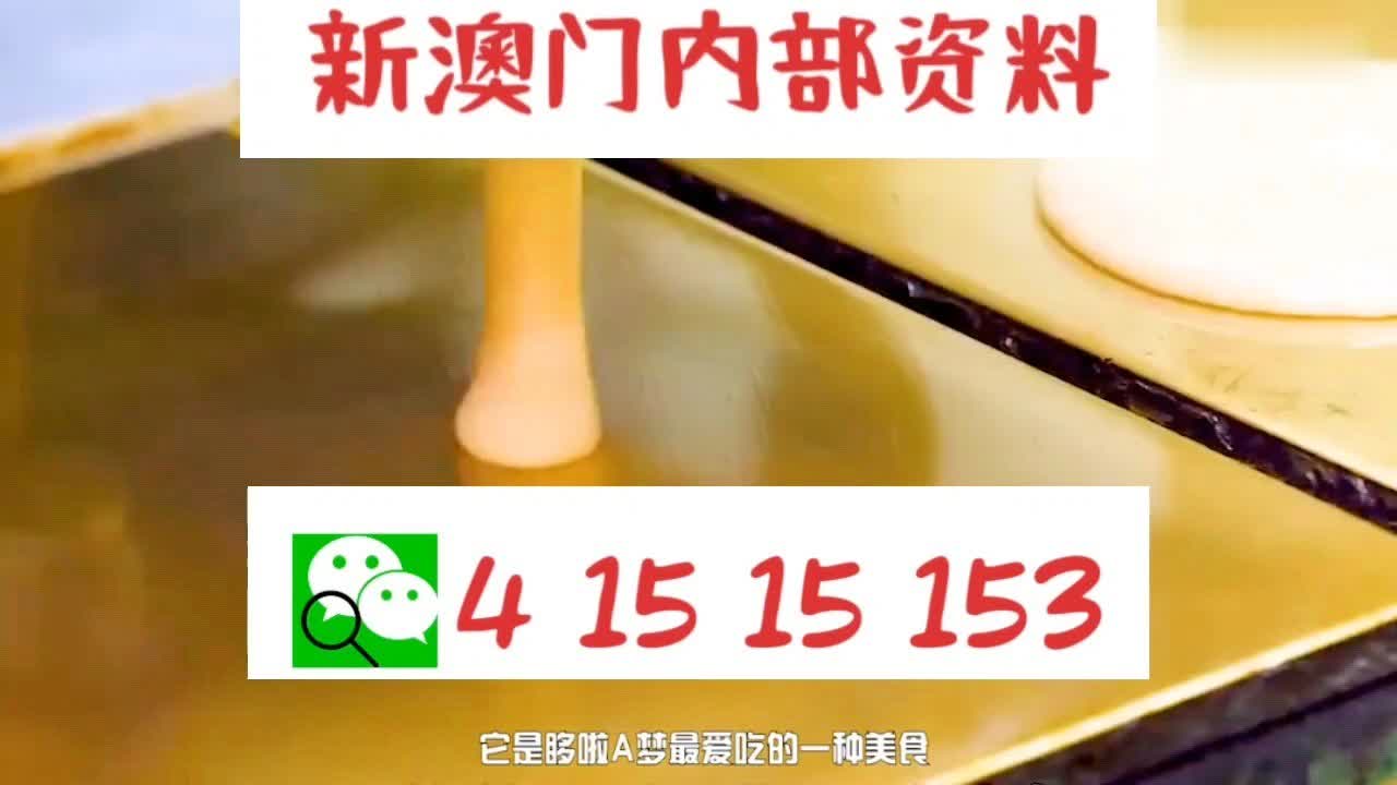 新澳門內(nèi)部十碼中特，探索與解析，新澳門內(nèi)部十碼中特，深度探索與解析