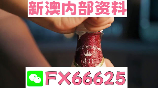 新澳門一碼一碼，揭秘精準(zhǔn)預(yù)測(cè)的秘密與真相，揭秘澳門一碼一碼精準(zhǔn)預(yù)測(cè)的秘密與真相