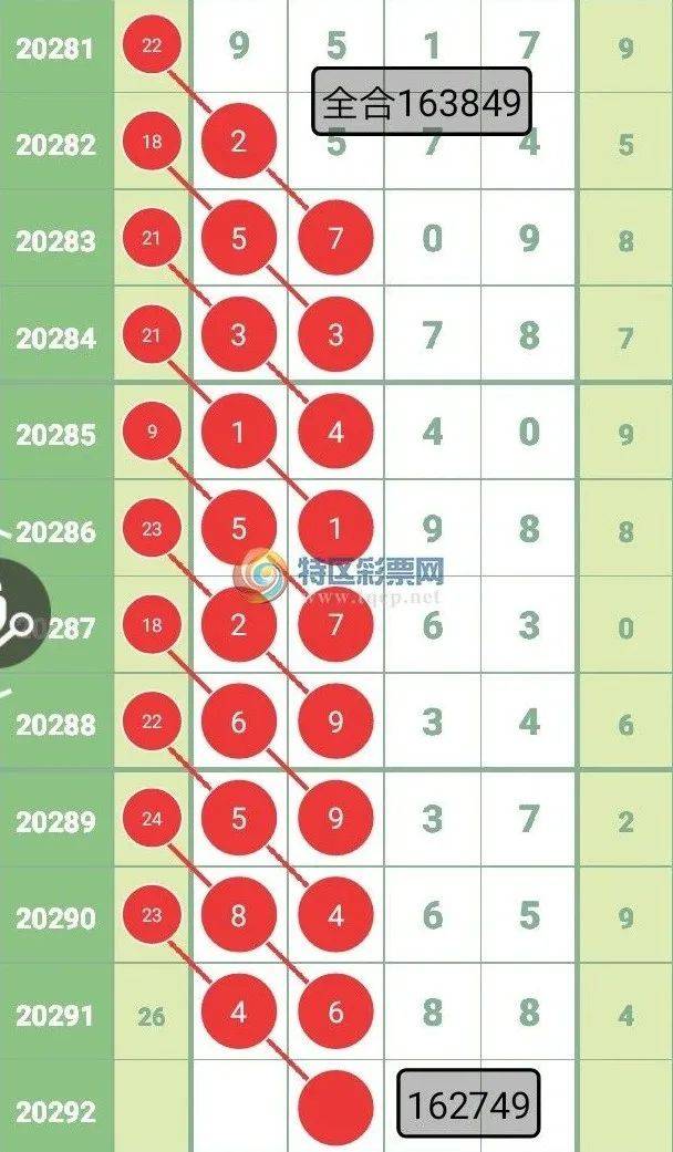 王中王四選一肖中特，深度解析與探索，王中王四選一肖中特深度解析與探索揭秘