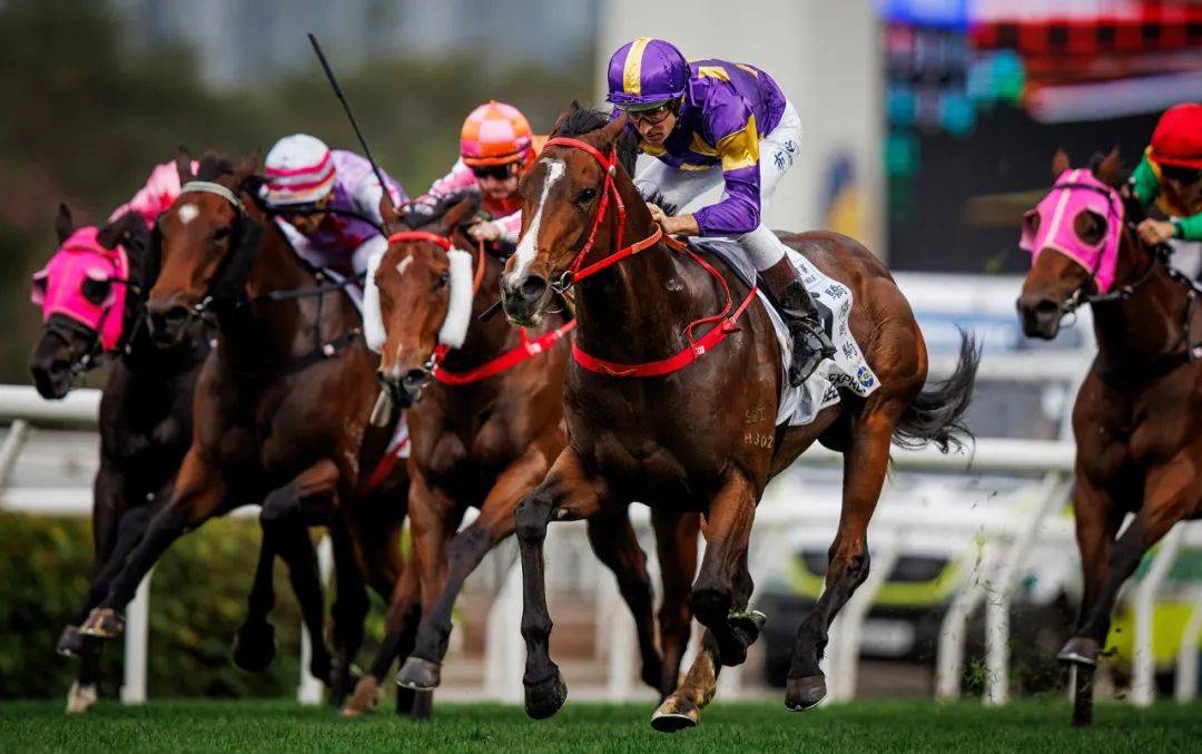香港賽馬，探索賽馬運(yùn)動的激情與榮耀之地——7777788888的獨(dú)特魅力，香港賽馬，激情與榮耀的獨(dú)特魅力探索——777778賽馬運(yùn)動之地