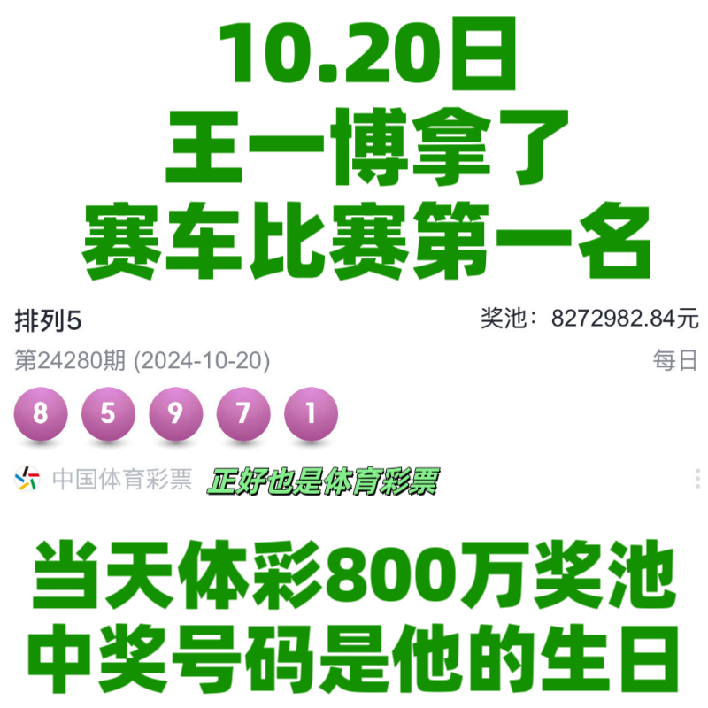 王中王一肖資料中特馬——深度解析與SEO洞察，王中王一肖特馬深度解析與SEO洞察揭秘