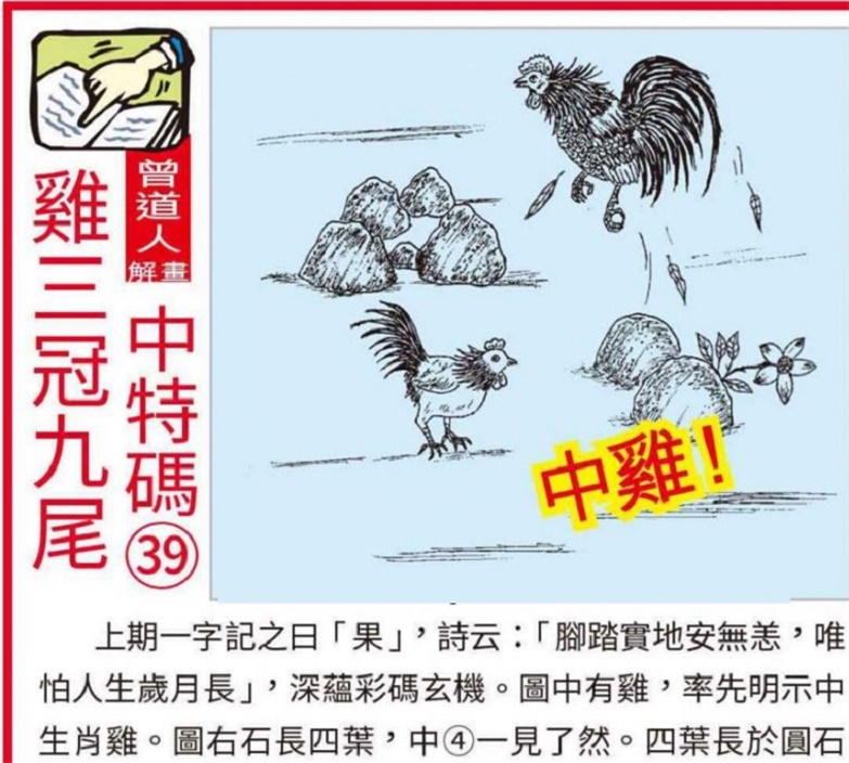 澳門2025全年資料大全正版資料權威指南，澳門2025全年正版權威指南，全面資料大全與權威解讀