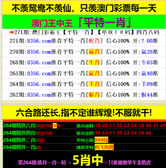 王中王資料一肖中特，深度解析與SEO優(yōu)化策略，王中王資料一肖中特深度解析與SEO優(yōu)化策略指南