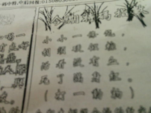 揭秘劉伯溫的一肖一特，探尋神秘傳奇背后的真相，劉伯溫傳奇揭秘，揭秘生肖之謎與獨(dú)特特質(zhì)背后的真相